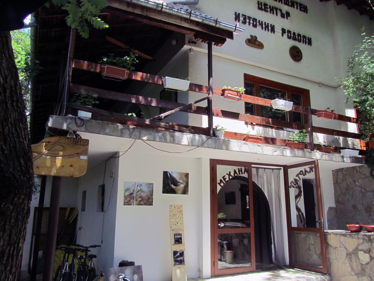 Madzharovo Vulture Centre Eastern Rhodopes 빌라 외부 사진